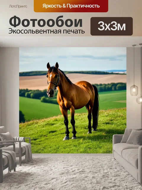 Фотообои конь, стоящий на зеленом холме, с видом на далёкие поля