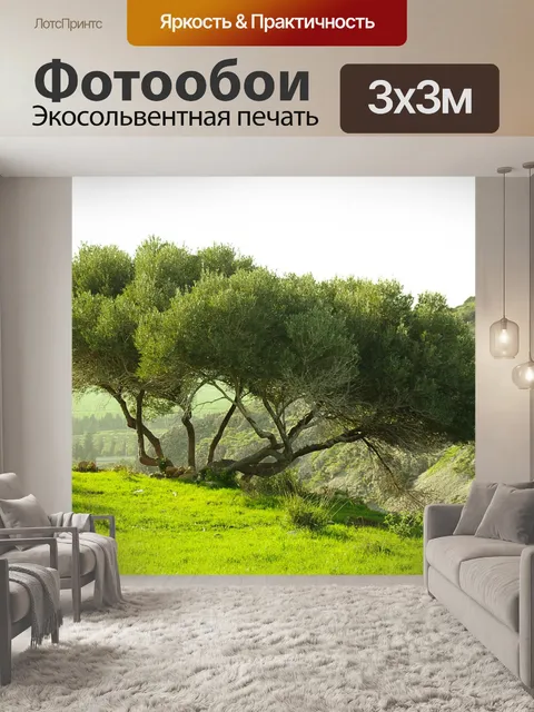 Фотообои Оливковое дерево в золотой час