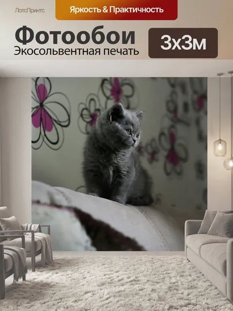 Фотообои Фон