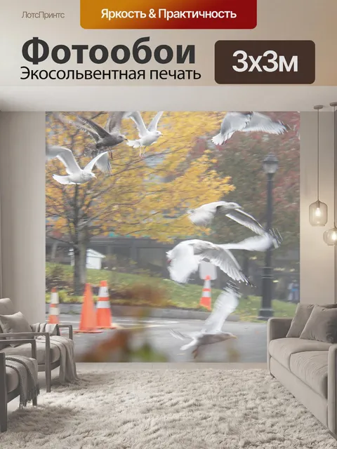 Фотообои Птицы в полете