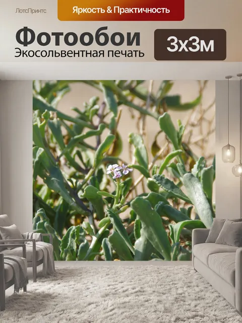 Фотообои Фиолетовый цветок зеленое растение на пл