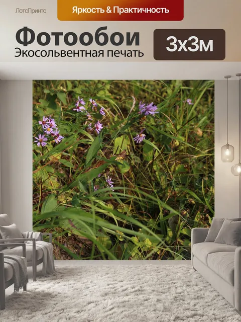 Фотообои Полевые цветы Фиолетовый