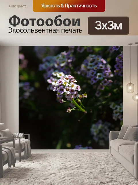 Фотообои солнечный свет на сладком аллисуме