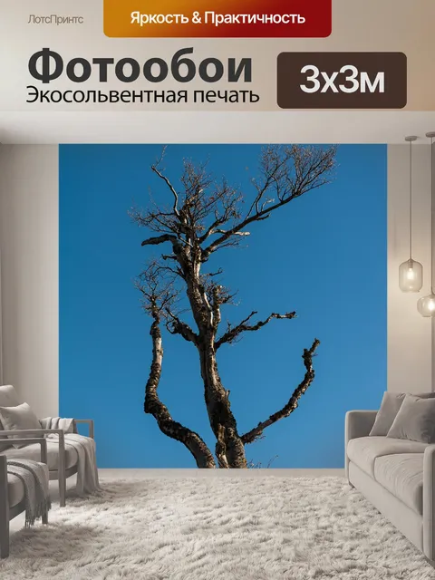 Фотообои Ствол дерева
