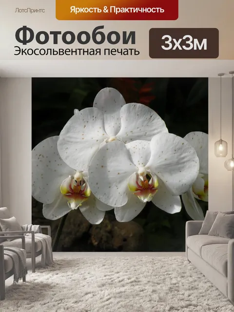 Фотообои Белый