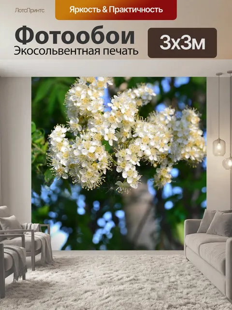 Фотообои Цветы