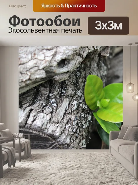 Фотообои Серый лес и зеленый лист