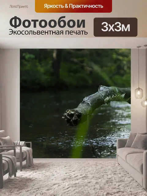 Фотообои Лес