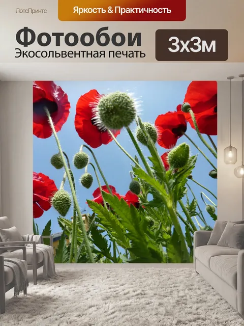Фотообои Маки цветы красные луга