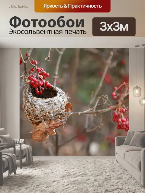 Фотообои Птичье гнездо