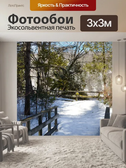 Фотообои Пешеходный мост зимой