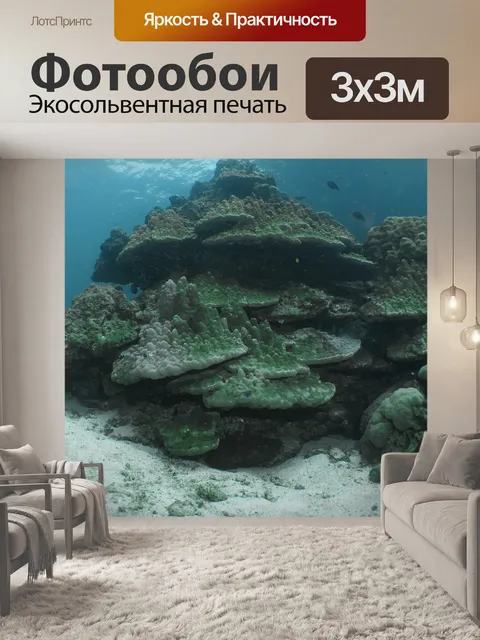 Фотообои Коралл