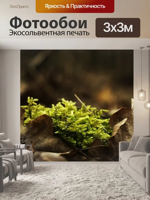 Фотообои Мосс