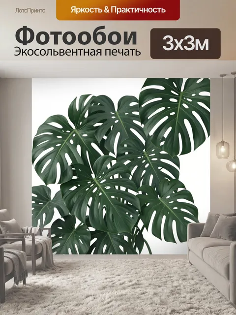 Фотообои Тропические листья монстеры