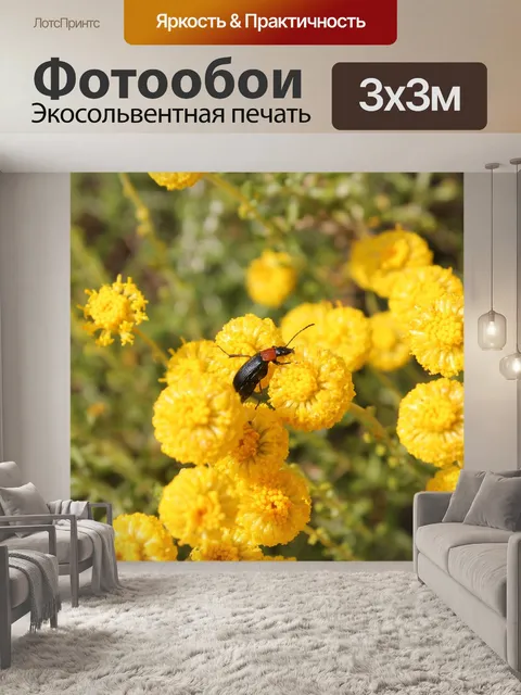 Фотообои Насекомое