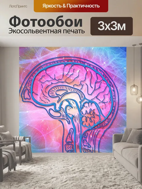 Фотообои Мозг