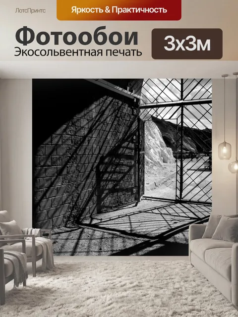 Фотообои Черно-белые ворота с тенями