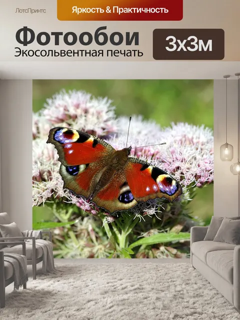 Фотообои Фея павлин