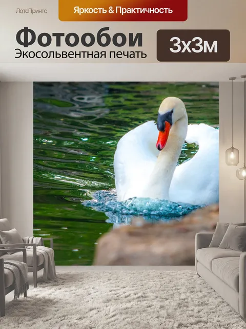 Фотообои лебедь
