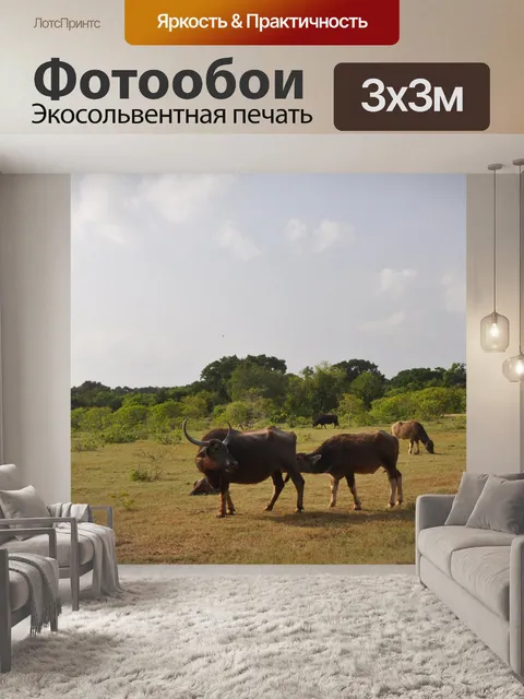 Фотообои Теленок