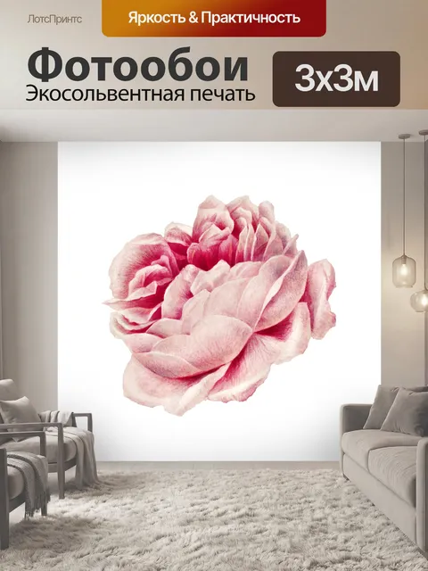 Фотообои Клипарт Rose bloom flower