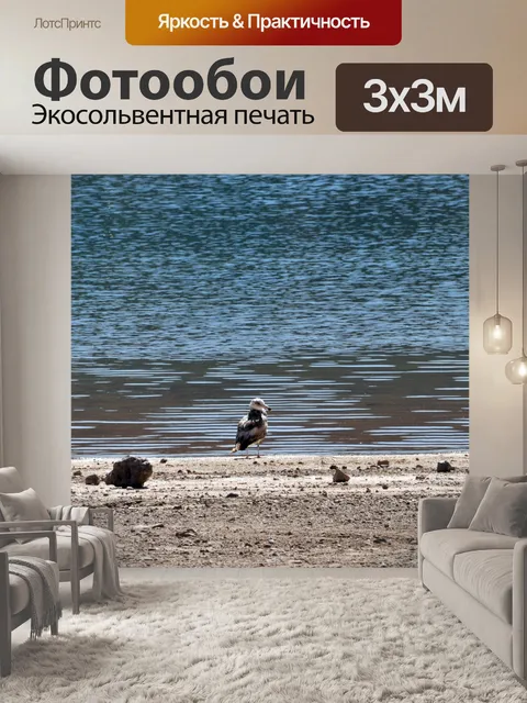 Фотообои Чайка у озера Мид