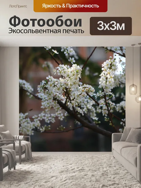 Фотообои Цветок сливы