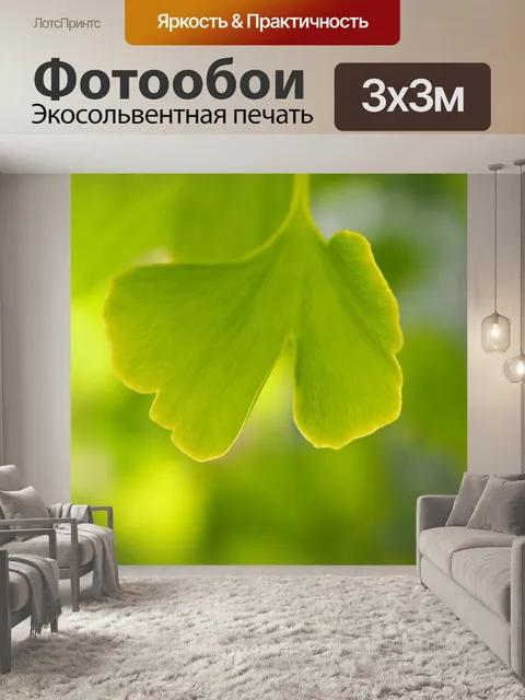 Фотообои Гинкго