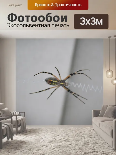 Фотообои Черный и желтый сад-паук