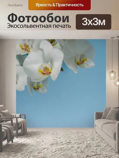 Фотообои Белая орхидея