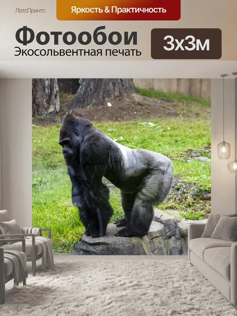 Фотообои горилла