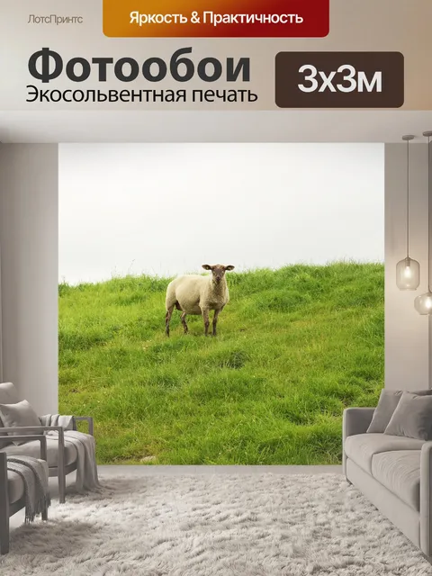 Фотообои Овец