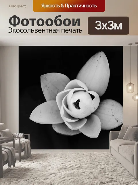 Фотообои Водяная лилия