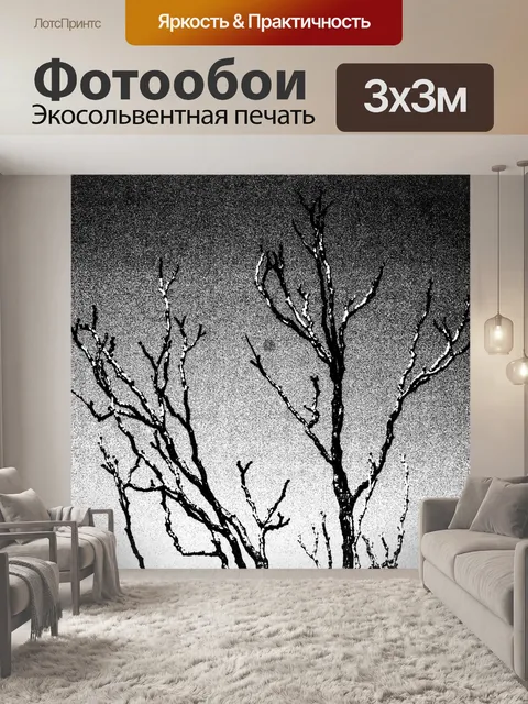 Фотообои черный и белый филиал изображений