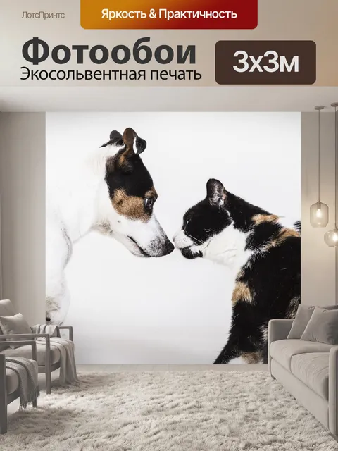 Фотообои Собака
