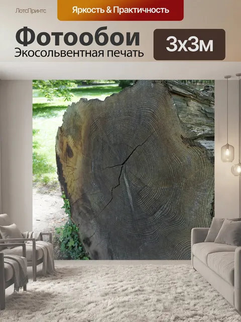 Фотообои Годовые кольца
