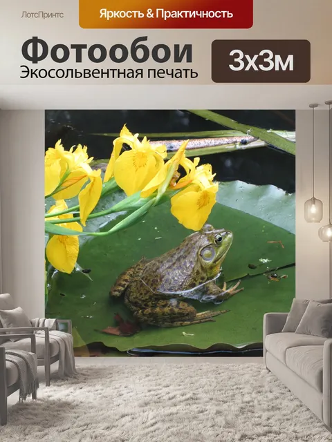 Фотообои Лягушка