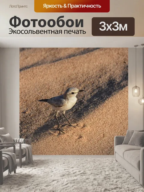 Фотообои Пустыня
