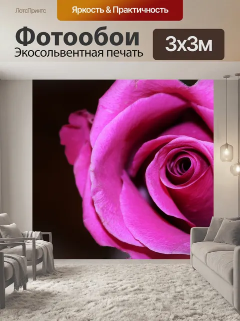 Фотообои Пинк Роуз Бад Макро на черном