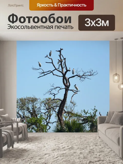 Фотообои Дерево Аисты в дикой природе