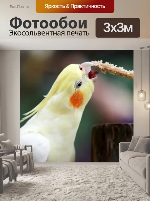 Фотообои Голодная птица