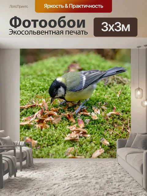 Фотообои Синица