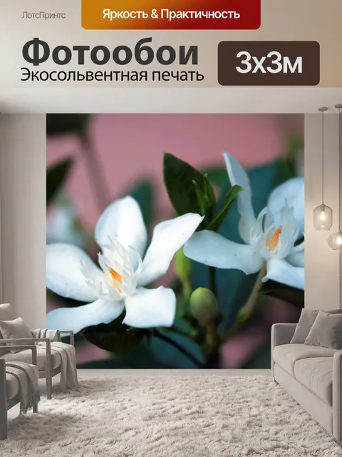 Фотообои белые цветы 7