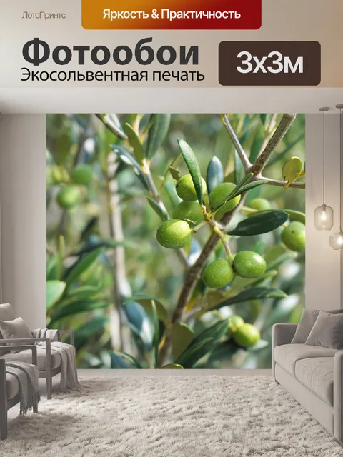 Фотообои Оливки