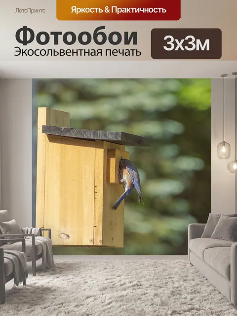 Фотообои Синяя птица