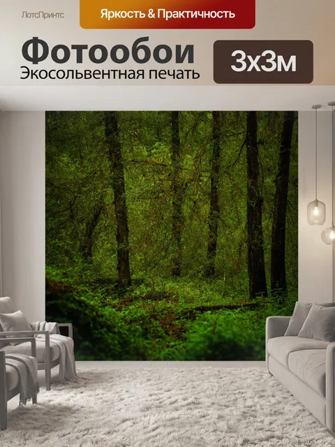 Фотообои лес с деревьями, окруженными загадочной растительностью