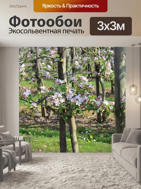 Фотообои Яблоневый цвет