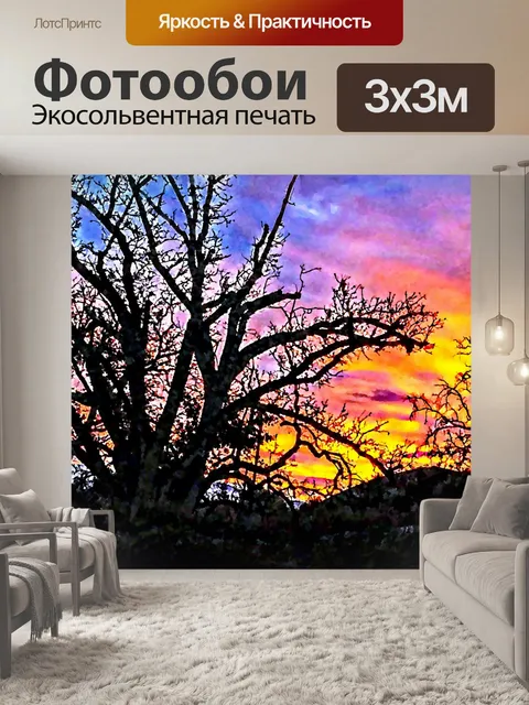 Фотообои Дубами Восход