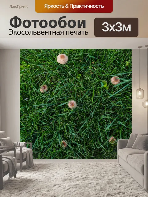 Фотообои Грибы