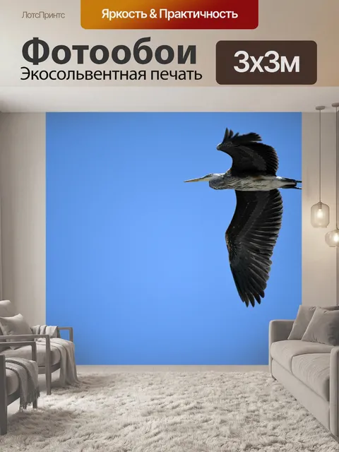Фотообои Птица